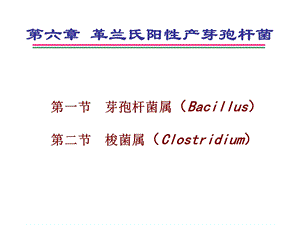 第六章革兰氏阳性产芽孢杆菌名师编辑PPT课件.ppt