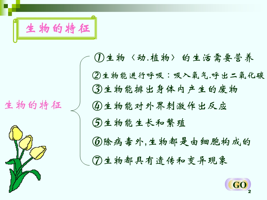 七年级生物上册复习课件.ppt_第2页