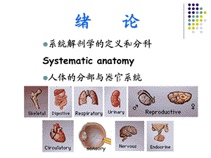 人体解剖学1绪论与骨关节总论文档资料.ppt