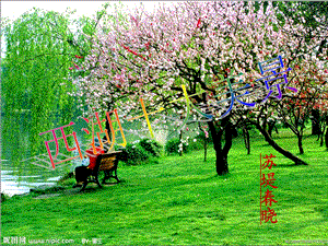 三年级上21古诗两首2饮湖上初晴后雨.ppt