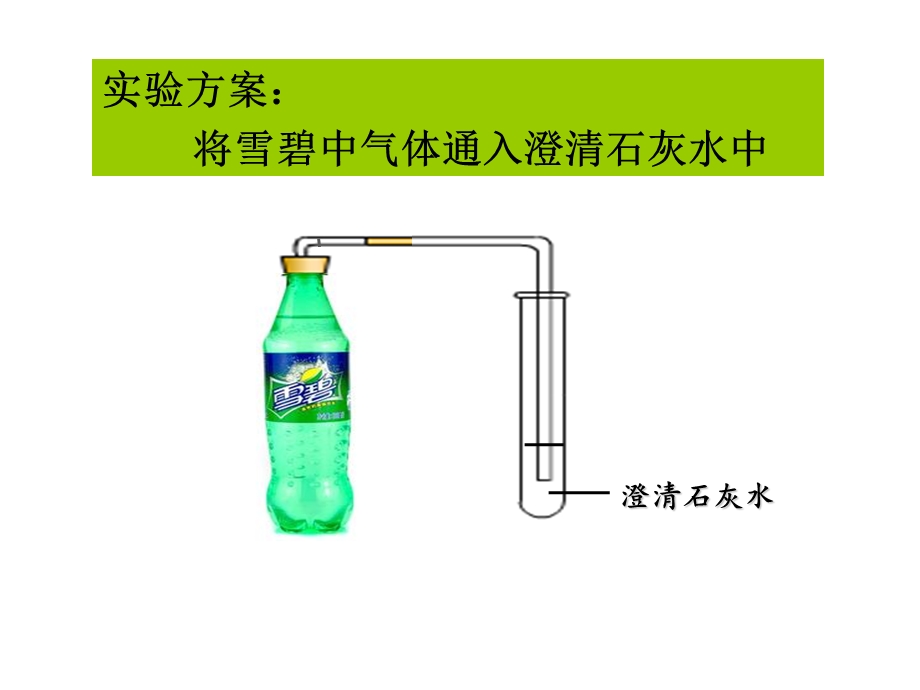 二氧化碳的制取及性质探究.ppt_第2页