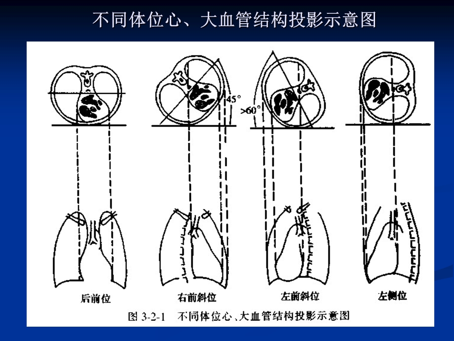 医学影像学循环系统ppt课件文档资料.ppt_第2页