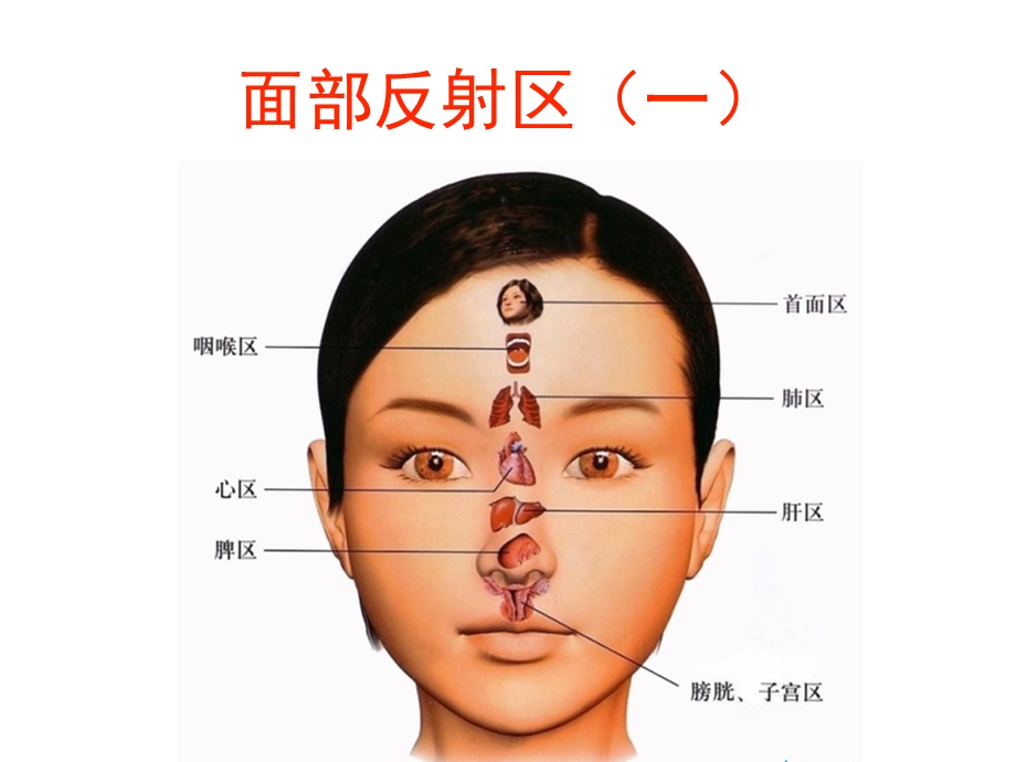 心脑血管手面诊ppt课件文档资料.pptx_第1页