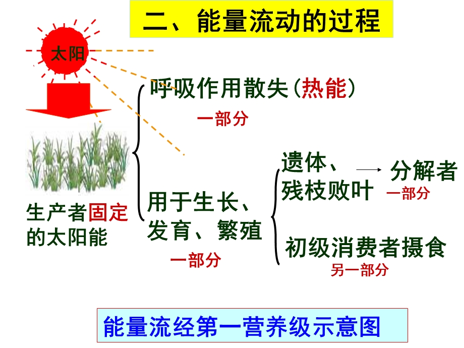 一轮复习——能量流动和物质循环.ppt_第3页