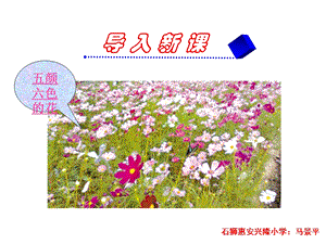 三年级上册语文——13花钟.ppt