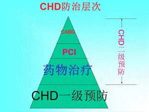 CVD合理用药及误区分析文档资料.ppt