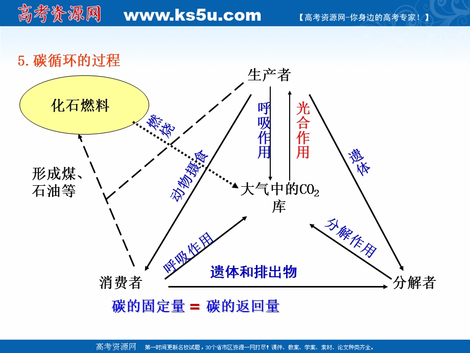 专题53_生态系统的物质循环（课件）-2016-2017学年高二生物同步精品课堂（基础版）（必修3）.ppt_第3页