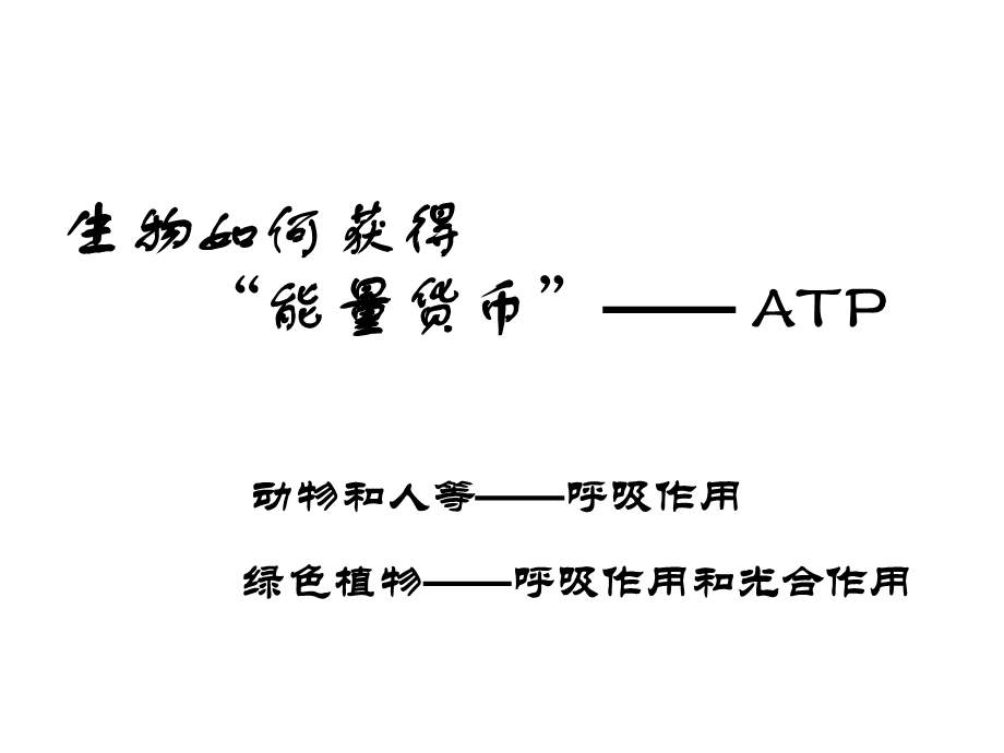 一轮复习光合作用与呼吸作用.ppt_第3页