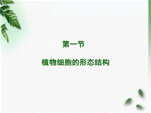 最新：2.细胞与组织文档资料.ppt