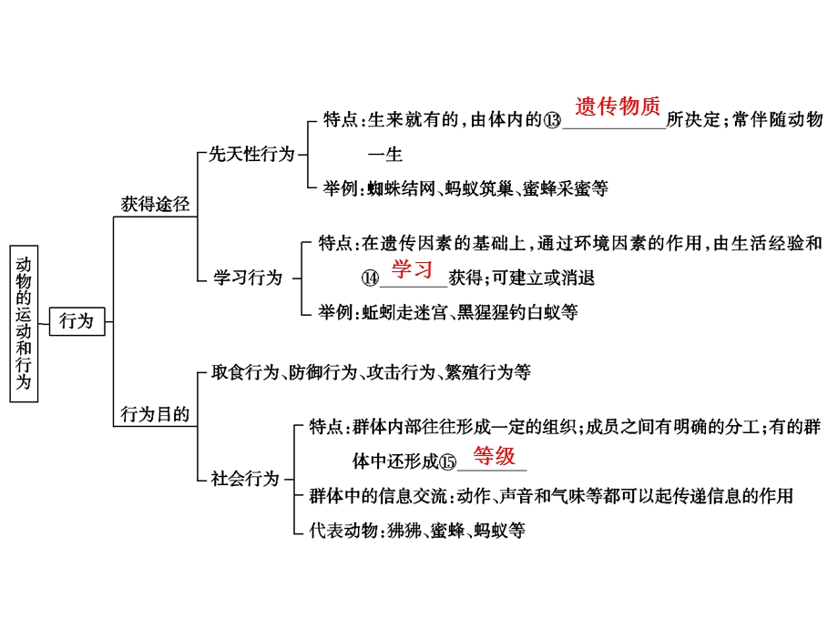 中考生物学专题知识整合·专题五动物的运动和行为.ppt_第3页