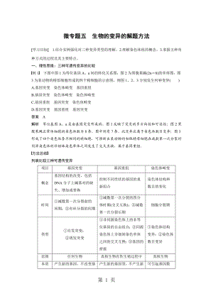 第四章 微专题五文档资料.docx