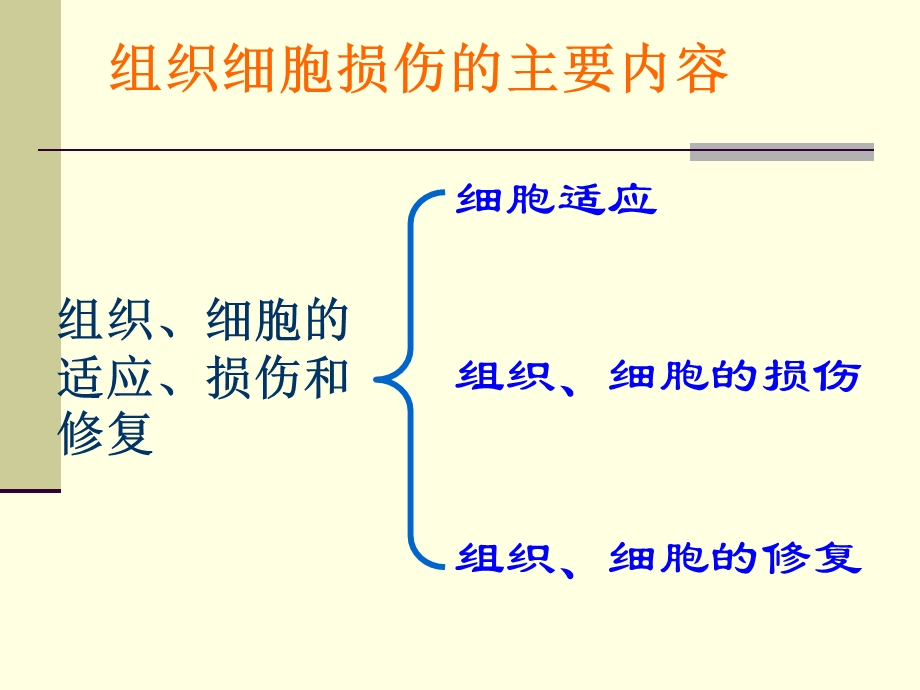 组织的损伤精选文档.ppt_第1页