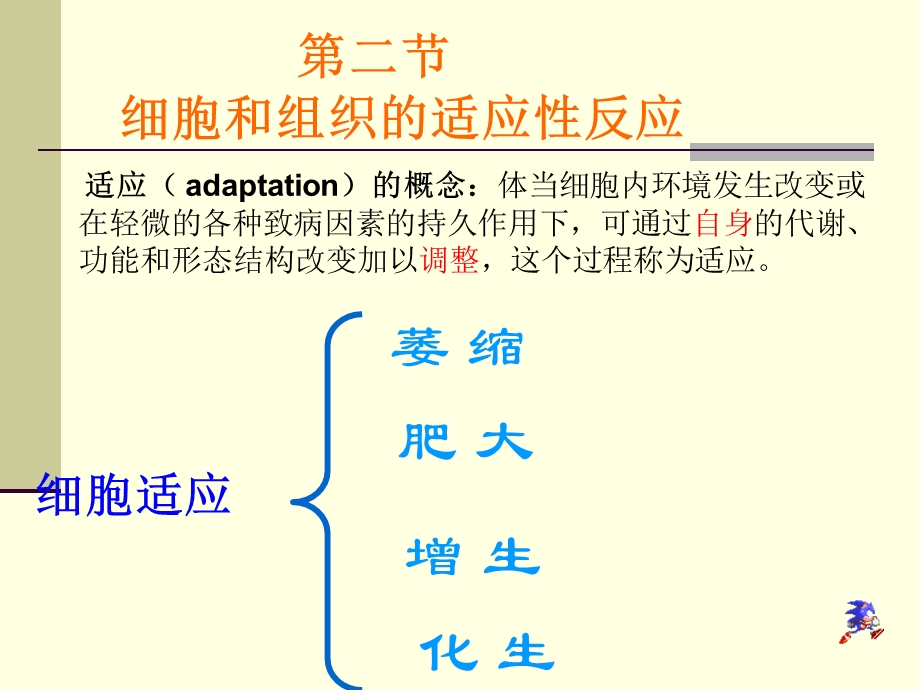 组织的损伤精选文档.ppt_第3页