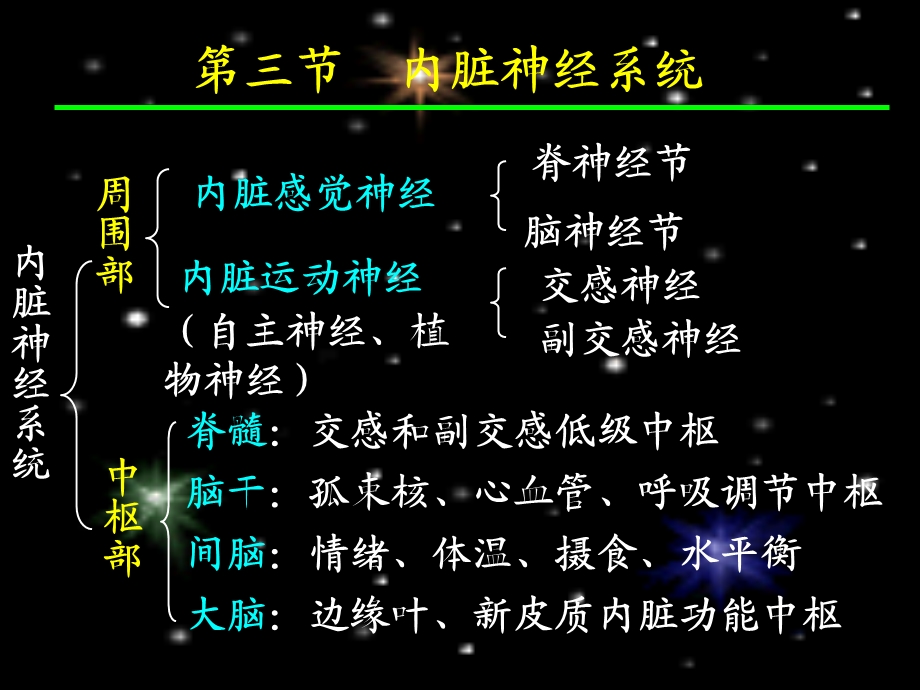 内脏神经传导通路文档资料.ppt_第2页