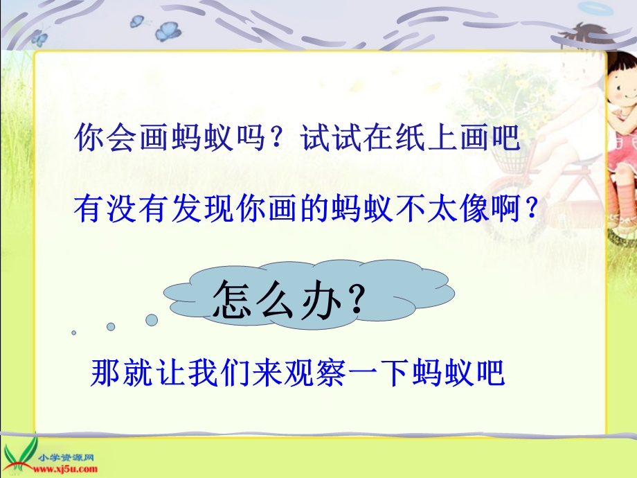 三年级科学上册课件_蚂蚁 (2).ppt_第3页