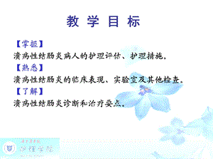 3第四节溃疡性结肠炎的护理文档资料.ppt