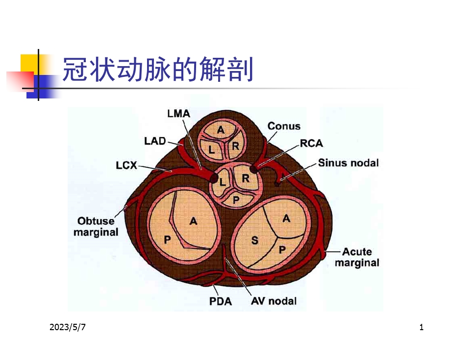 最新AMI的心电图应用PPT文档.ppt_第1页