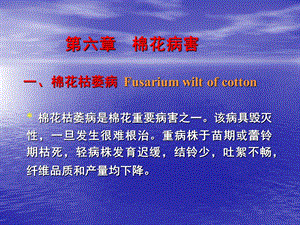 第六章棉花病害一棉花枯萎病Fusariumwiltofcotton名师编辑PPT课件.ppt