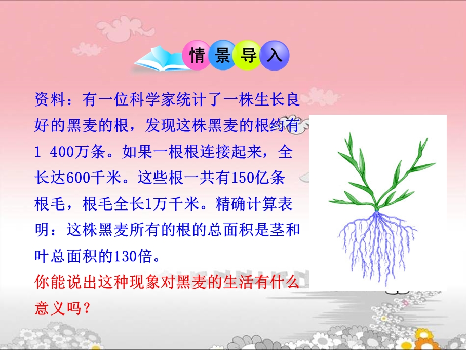 七年级生物上册_第三单元_第二章_第二节_植株的生长课件.ppt_第1页