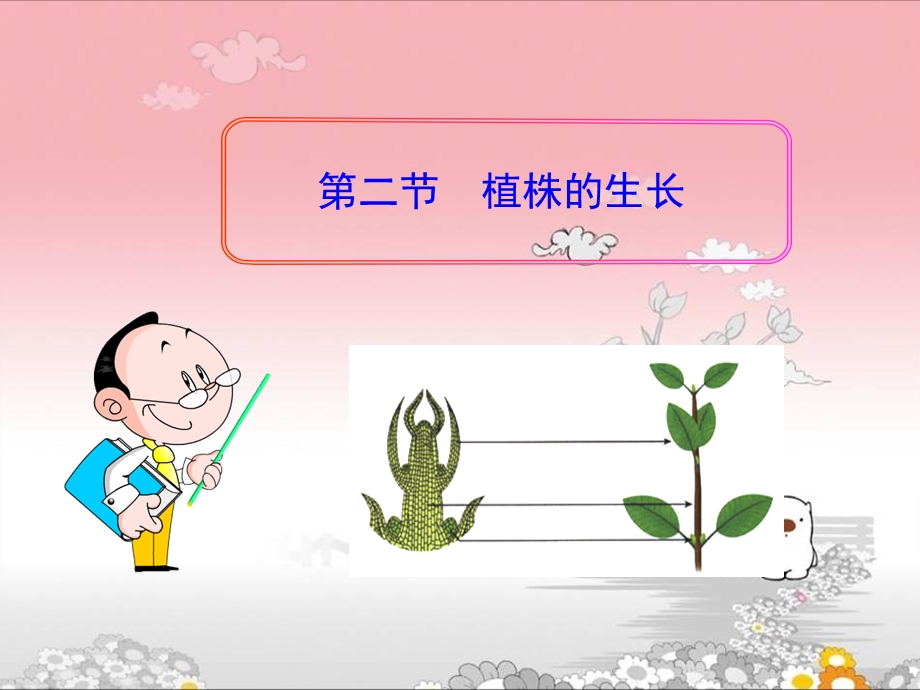 七年级生物上册_第三单元_第二章_第二节_植株的生长课件.ppt_第2页