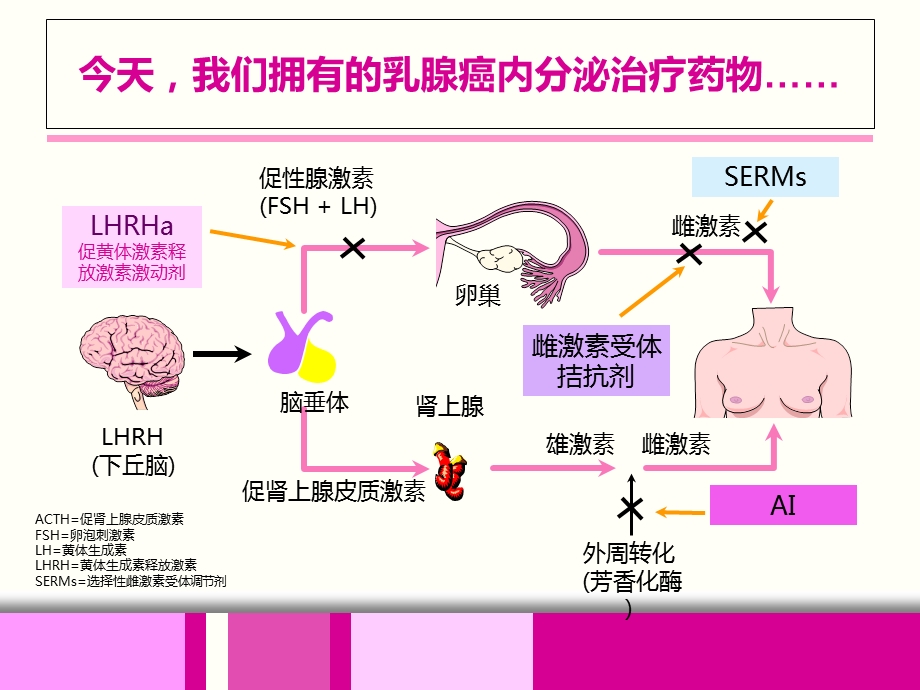 乳腺癌内分泌治疗的临床思考ppt文档资料.ppt_第3页