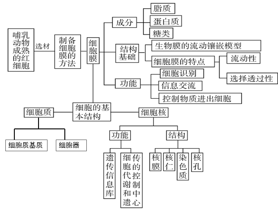 最新3.1细胞膜——系统的边界PPT文档.pptx_第1页