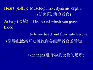 Chapter7BloodCirculation血液循环PPT文档.ppt