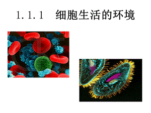 1细胞生活的环境文档资料.ppt