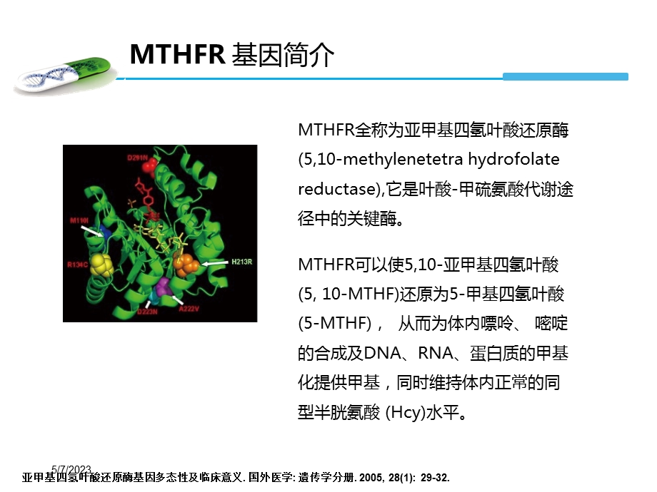 mthfr基因检测与叶酸代谢产科方向PPT文档.ppt_第2页