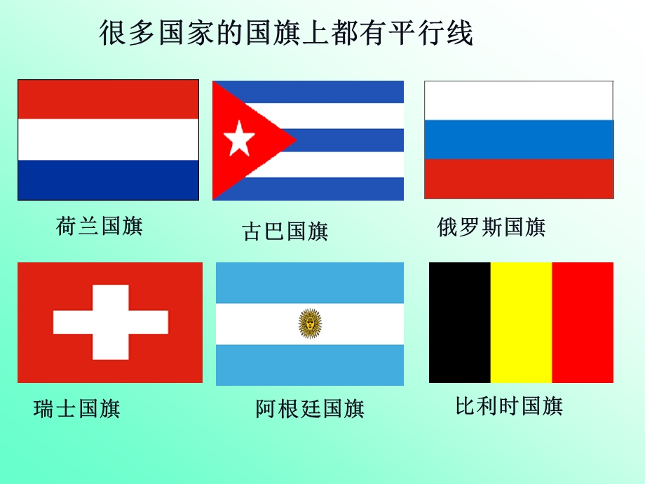 4.8平行线[精选文档].ppt_第2页