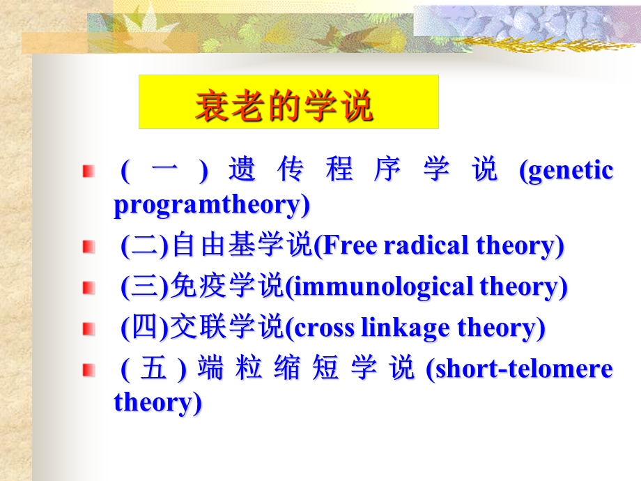 临床药理8文档资料.ppt_第3页