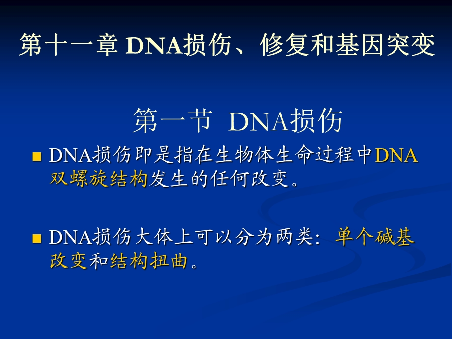 第十一章DNA损伤修复和基因突变名师编辑PPT课件.ppt_第1页