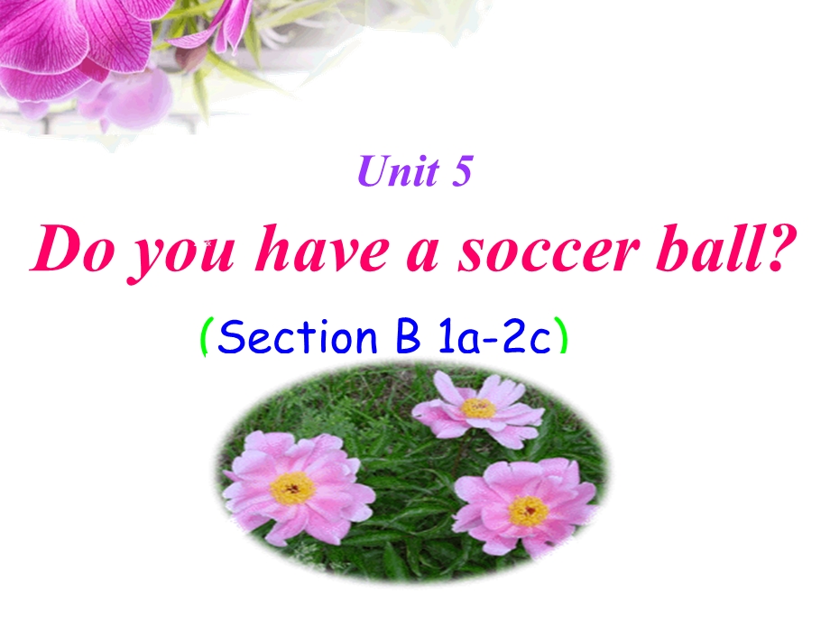 七上《Unit5Doyouhaveasoccerball》sectionB课件（共28张PPT）.ppt_第1页