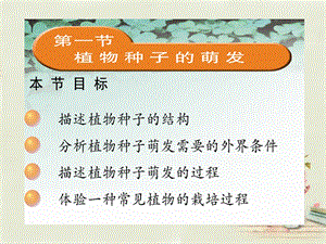 七年级生物上册“植物种子的萌发”课件.ppt