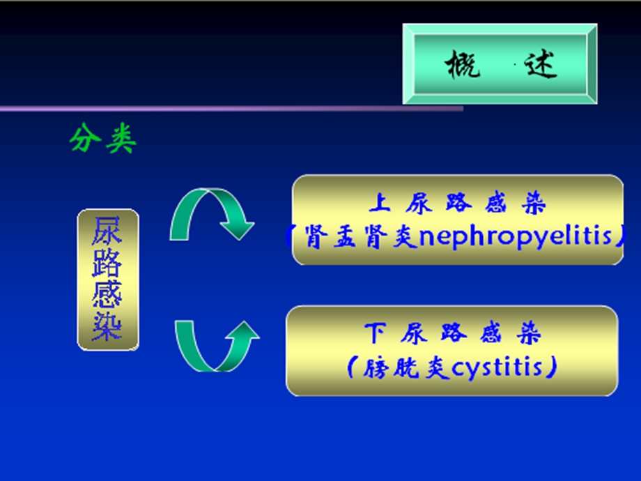 【医药健康】尿路感染(urinary文档资料.ppt_第3页