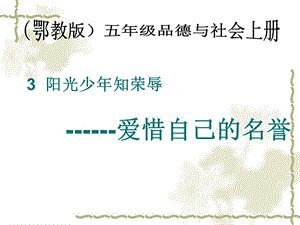 3、阳光少年知荣辱——爱惜自己的名誉[精选文档].ppt