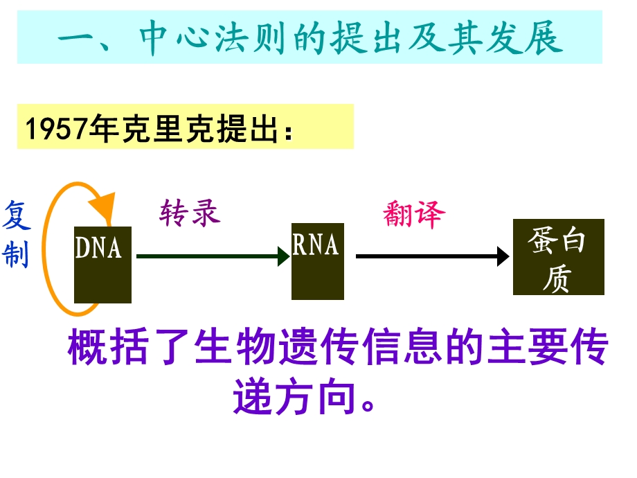 4.2基因对性状的控制课件雷群英[精选文档].ppt_第2页