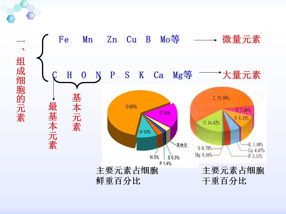 专题21细胞中的元素和化合物（课件）.ppt_第3页