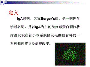 iga肾病诊治进展副本精选文档.ppt