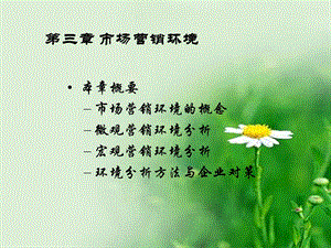 《市场营销环境》课件.ppt