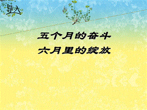 个月的奋斗六月里的绽放.ppt