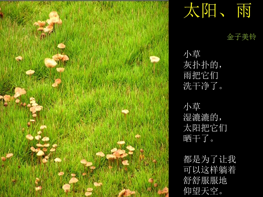 《金子美玲诗选42首》(胡红梅整理).ppt_第1页