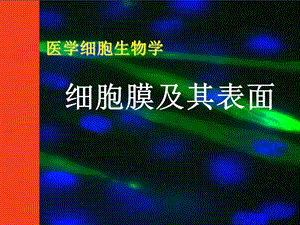 《细胞生物学》细胞膜.ppt