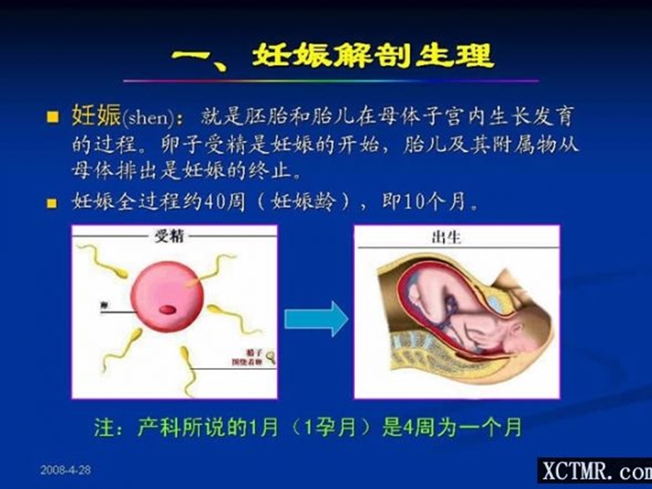 产科B超正常检查.ppt_第2页