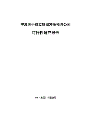 宁波关于成立精密冲压模具公司可行性研究报告.docx