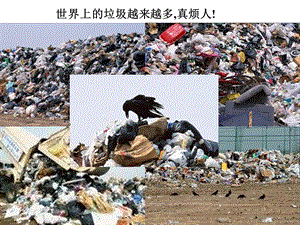 《蚯蚓垃圾处理厂》(北京版二年级语文下册).ppt