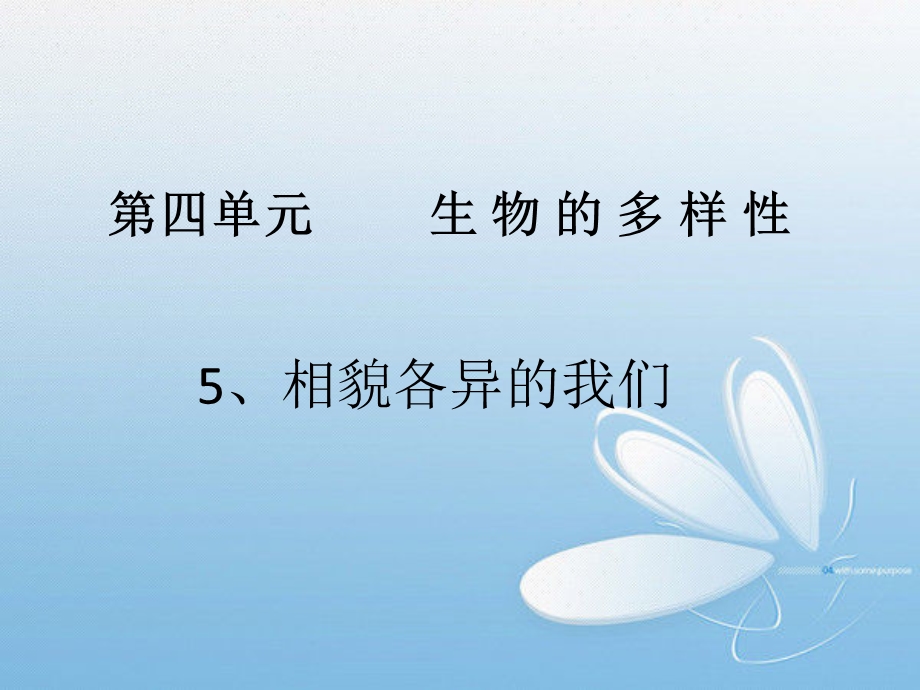 《相貌各异的我们》.ppt_第1页