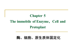 《酶的固定化》课件.ppt