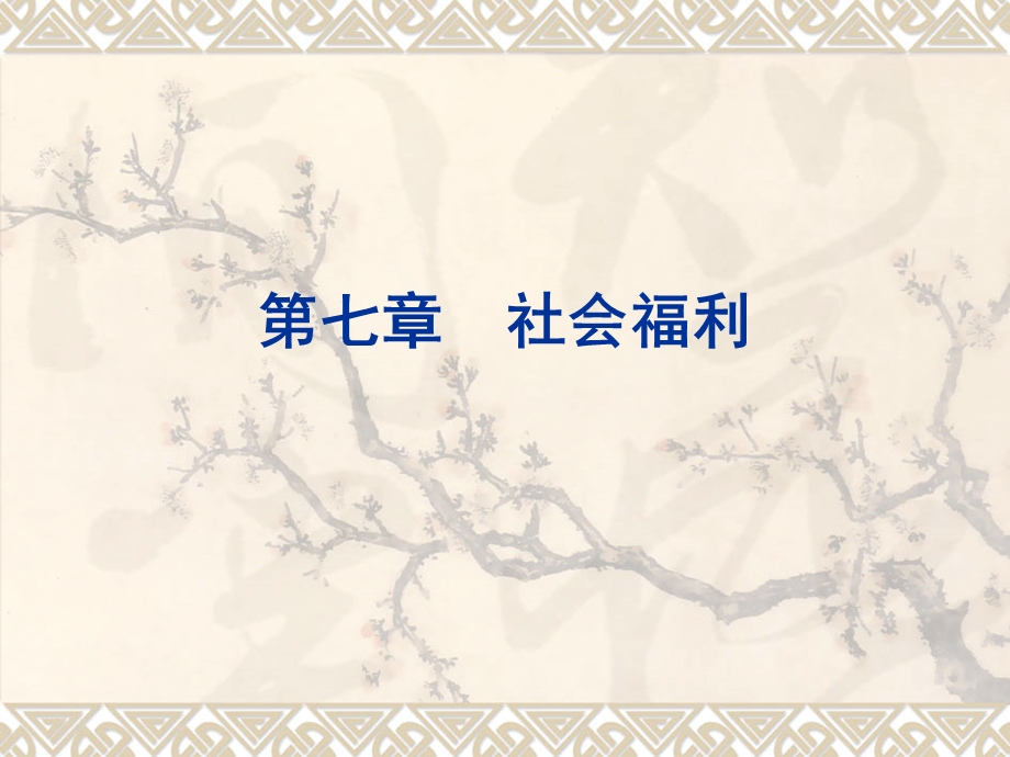 《社会福利》课件.ppt_第1页