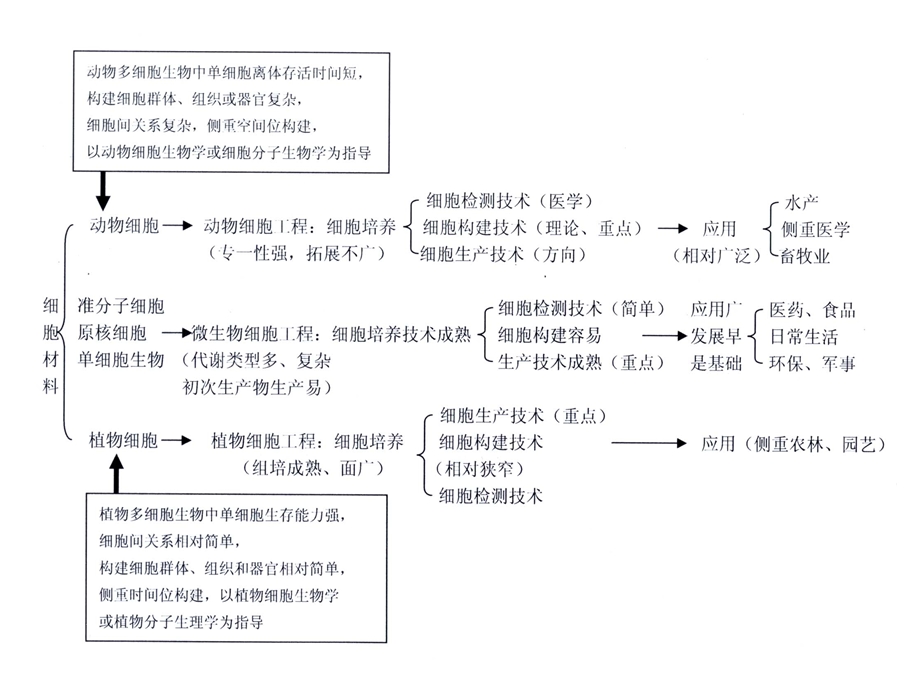 《细胞工程》第4章1动物细胞培养工程.ppt_第3页